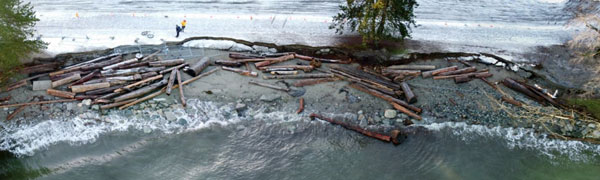 Shoreline infrastructure suffered extensive damage during the 2021 and 2022 storm seasons. A storm surge combined with a king tide on January 7, 2022 washed away parts of the Stanley Park seawall and more than $1 million has been spent on repairs so far.