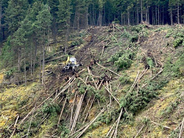 Enviro-Ex’s modified spider excavator goes where other machines fear to tread on steep slopes doing prep work to clear a new road alignment to allow men and machines to access the washout area.