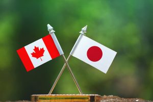 Trudeau government mum on Japan’s invitation to rejoin global timber treaty