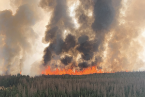 Fire danger continues to be ‘extreme’ in most parts of province: Alberta government