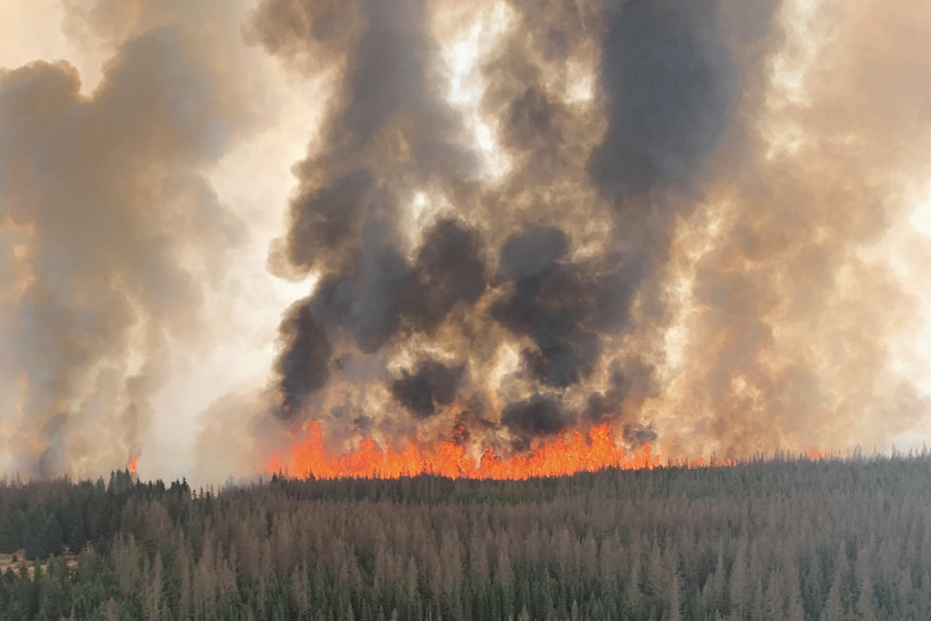 Energy companies curtail production due to Alberta wildfires