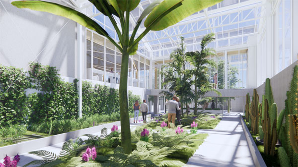 The McMaster greenhouse itself will feature a sunken floor offering more space for plants to grow upward, with climate-controlled spaces and dedicated research and learning areas.