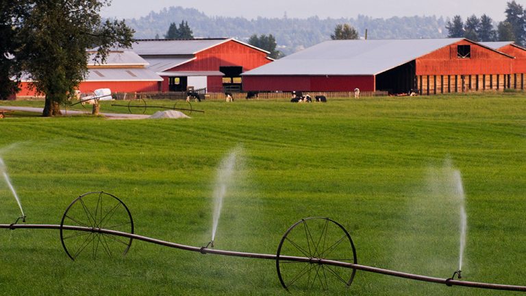 Gavin Dew, chief strategic officer with the Abbotsford Tech District, says the proposed development on 140 acres of Sumas Mountain would combine tech, agriculture and community in the “largest economic development opportunity Abbotsford has seen in a generation.”