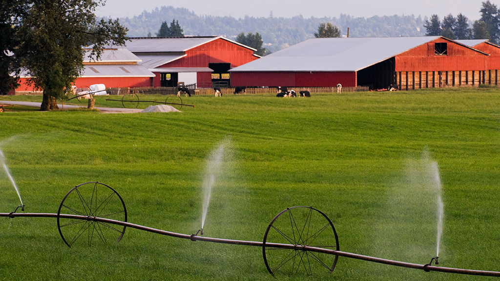 Abbotsford Tech District the ‘largest economic development opportunity’ in a generation