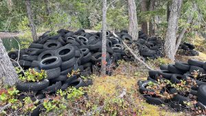 Tire Stewardship BC and Ocean Legacy partner to tackle tire pollution
