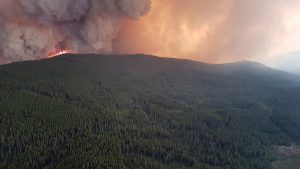 Landscape fire management needed to reduce risk of catastrophe in B.C.