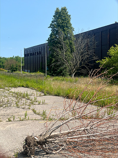 部分Bowmanville固特异工厂空位的,。将被拆除,其他部分将被指定为传统建筑。占地面积15.5公顷的网站一直空缺自2016年6月工厂停止运营。