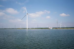 Wind farm off New Jersey likely to ‘adversely affect’ but not kill whales, feds say