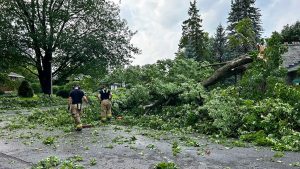 Researchers call for storm resistant measures in provincial building codes