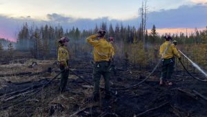 消防员建立保安控制森林大火