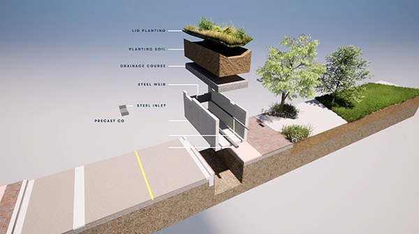 A diagram showing the bioswales natural filtration system works. Brightwater’s bioswales system is estimated to process and filter 300 million litres over the next 10 years.