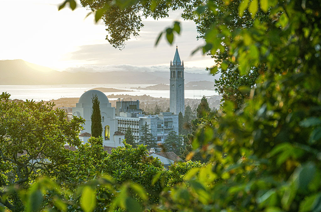 UC Berkeley walls off People's Park as it waits for court decision on student housing project