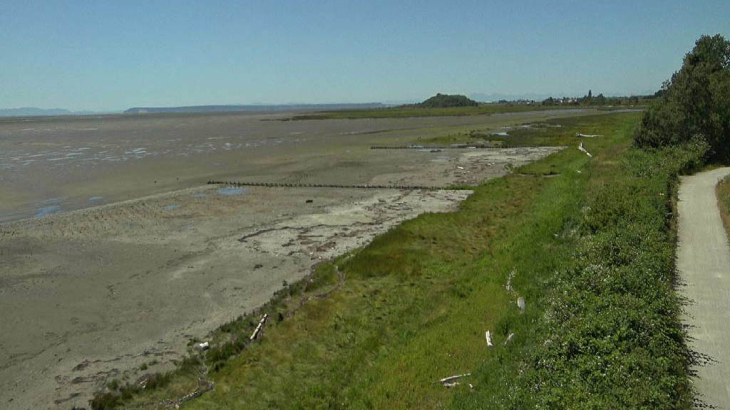 Surrey foreshore project gets environmental assessment exemption