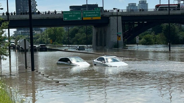 Heavy rains on July 16 saturated Toronto’s core and led to massive flooding of the Don River, leaving dozens of motorists and their vehicles stranded when the Don Valley Parkway became impassable.