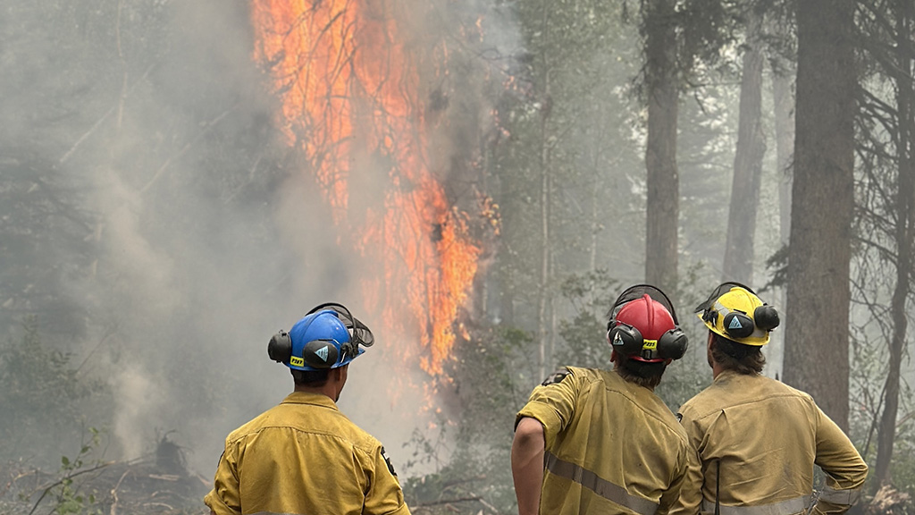 Western wildfires: Mitigating worker health risks on jobsites