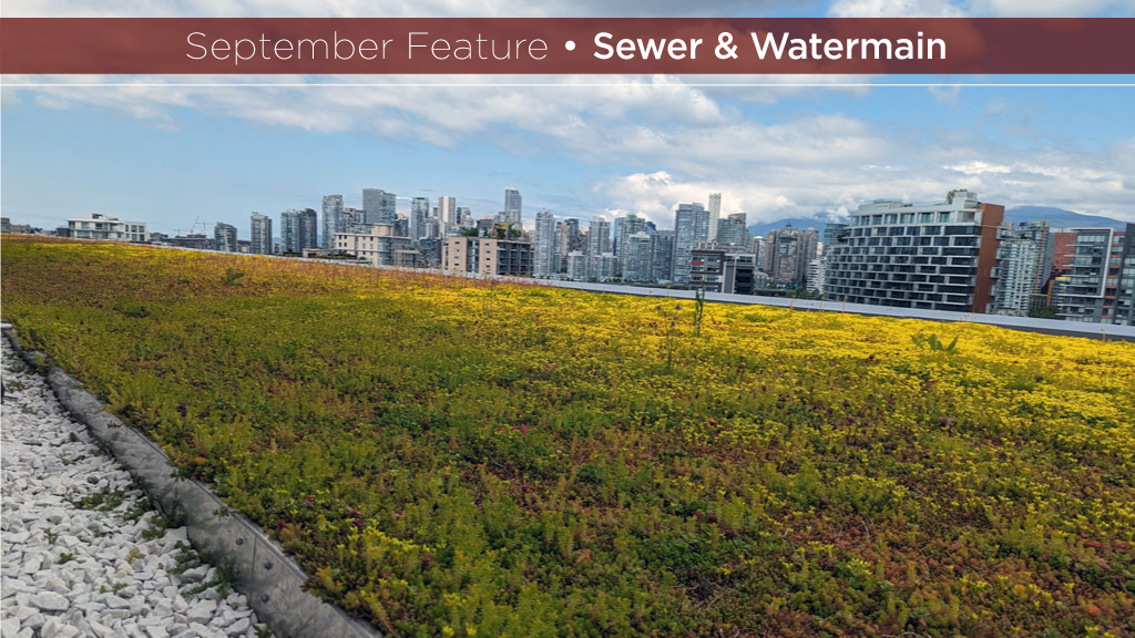 A blue-green roof on a Vancouver building combines the attributes of a blue roof which stores water with that of a green roof, which uses the water held below its growing medium. The roof captures water and lessens the dependency on city water for irrigation.