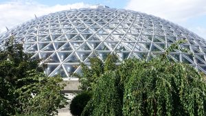 Bloedel Conservatory temporarily closing for facility improvements