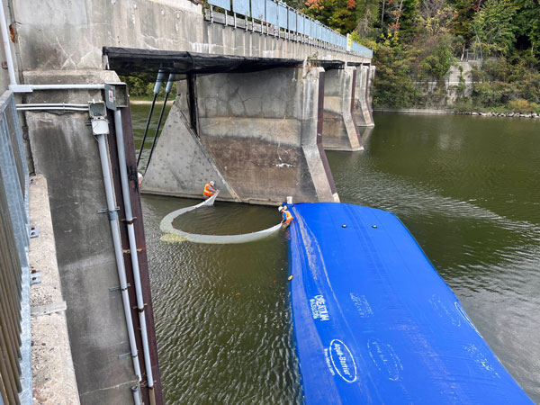 Fish removal is occurring prior to unwatering and the removal of the gates at the Springbank Dam.