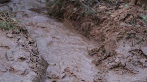 One home washed away in B.C. mudslide, owner missing: police