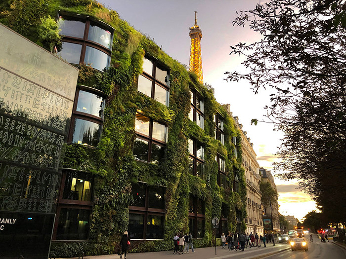 The Musée du Quai Branly Jacques Chirac in Paris, France opened in 2006, featuring 15,000 cultivated plants of 150 different species, offers both cooling benefits and a stunning appearance.