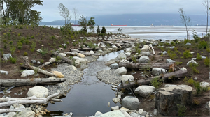 Vancouver parks board brings Canyon Creek back to the surface