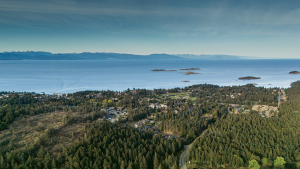 Seacliff Properties launches Gracewood in the Fairwinds community