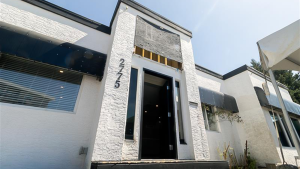 ion worker peer support bridging stigma of mental illness and addiction