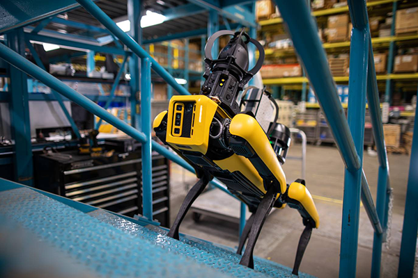 Spot the robotic dog from Boston Dynamics can fetch, climb and collect data, at a starting price of US$75,000.