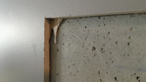 Acoustic engineer outlines the unique sound challenges health care projects pose