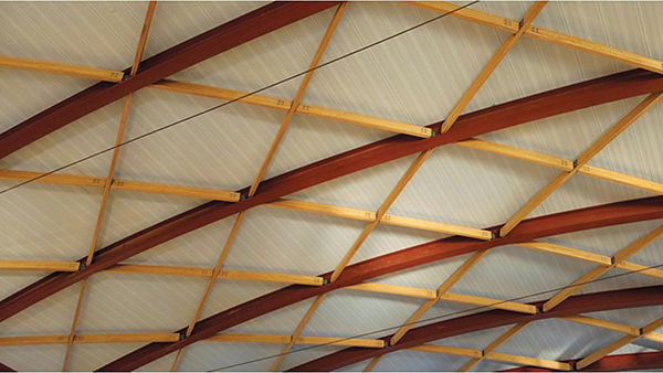 A hybrid steel-bamboo domed roof is a highlight at the Williamson County Regional Airport terminal in Marion, Illinois.