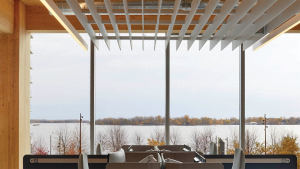 Inside T3 Bayside: A mass-timber office on Toronto’s waterfront