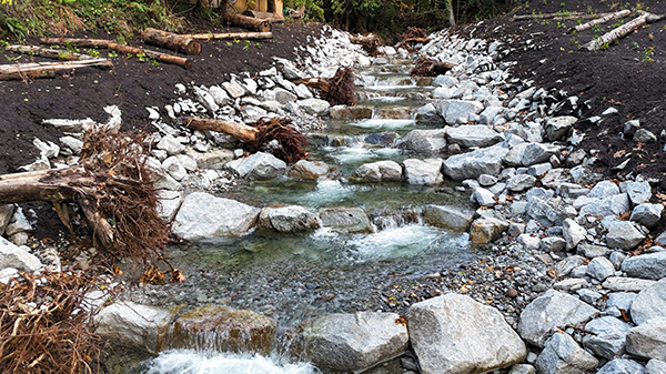According to Tetra Tech Canada, the creek bed was raised by up to four metres, which enabled the construction of a stepped series of pools and riffles to restore fish passage and improve habitat quality.