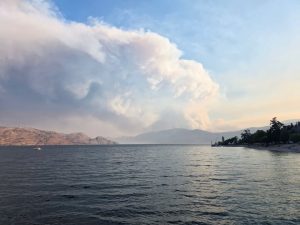 What to know about the Bald Range fire and B.C.’s wildfire emergency