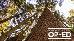 Industry Perspectives Op-Ed: Immediate provincial action required to address the deepening crisis in B.C.’s forest sector