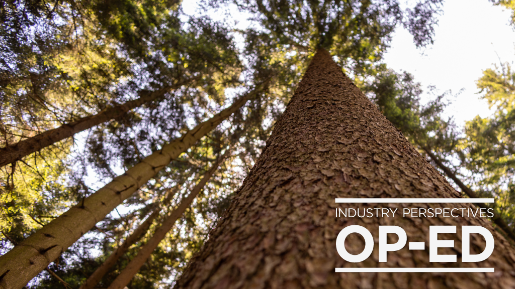 Industry Perspectives Op-Ed: Immediate provincial action required to address the deepening crisis in B.C.’s forest sector